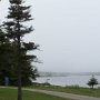 <p align=left>Quelques arbres sur le camping. Au loin, le port dans le brouillard.